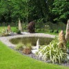 VLM Landscape Design