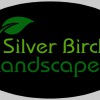 Silver Birch Landscapes