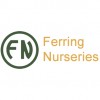 Ferring Nurseries