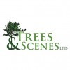 Trees & Scenes