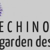 Echinops Garden Design