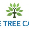 Eve Tree Care