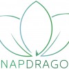 Snapdragon Gardening Services