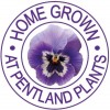 Pentland Plants