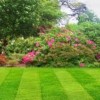 A1 Gardening & Landscaping