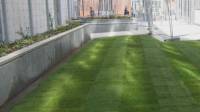 Artificial grass